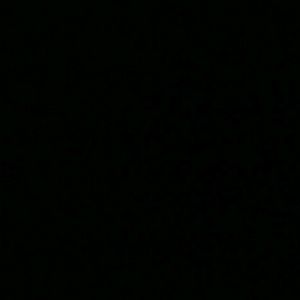 Meet your Posher, Rhett